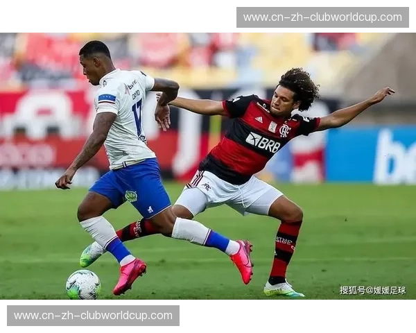 荣耀之巅的桑巴史诗：博塔弗戈vs米内罗竞技，南美足坛的王权更迭